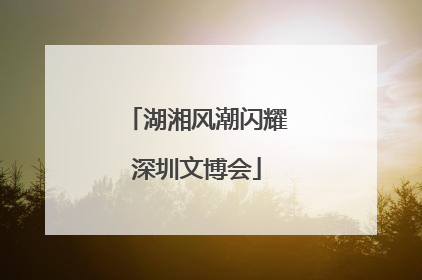 湖湘风潮闪耀深圳文博会