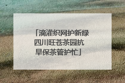 滴灌织网护新绿 四川旺苍茶园抗旱保茶管护忙
