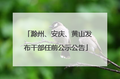 滁州、安庆、黄山发布干部任前公示公告