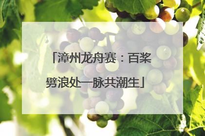 漳州龙舟赛：百桨劈浪处一脉共潮生
