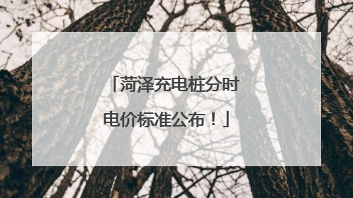 菏泽充电桩分时电价标准公布！