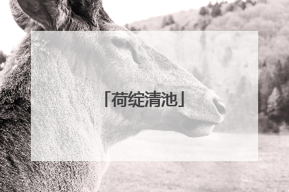 荷绽清池