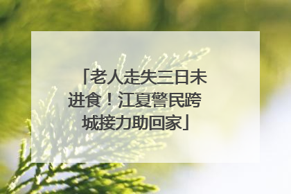 老人走失三日未进食！江夏警民跨城接力助回家