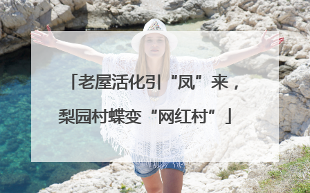 老屋活化引“凤”来，梨园村蝶变“网红村”