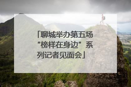 聊城举办第五场“榜样在身边”系列记者见面会
