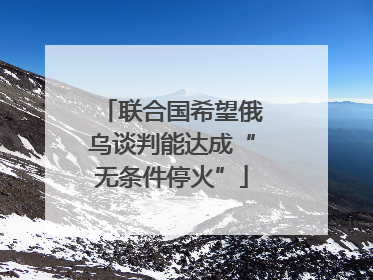 联合国希望俄乌谈判能达成“无条件停火”
