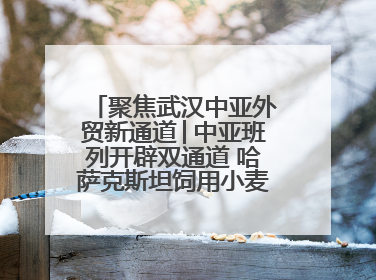 聚焦武汉中亚外贸新通道│中亚班列开辟双通道 哈萨克斯坦饲用小麦将抵鄂