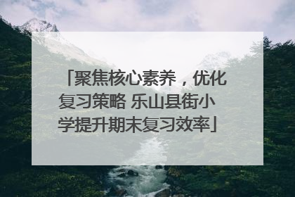 聚焦核心素养，优化复习策略 乐山县街小学提升期末复习效率