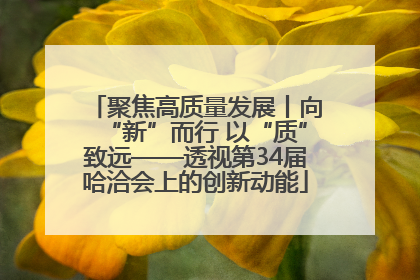 聚焦高质量发展丨向“新”而行 以“质”致远——透视第34届哈洽会上的创新动能