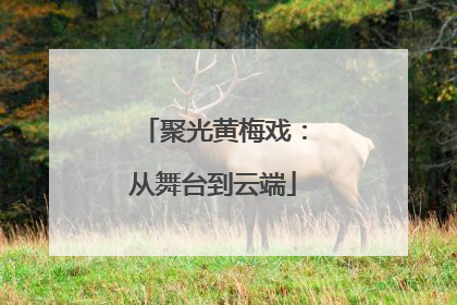 聚光黄梅戏：从舞台到云端