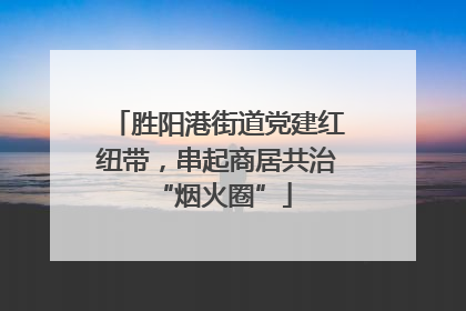 胜阳港街道党建红纽带，串起商居共治 “烟火圈”