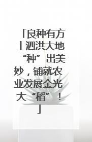 良种有方丨泗洪大地“种”出美妙，铺就农业发展金光大“稻”！