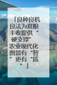 良种良机良法为夏粮丰收提供“硬支撑” 农业现代化图景有“智”更有“质”