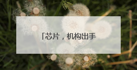 芯片，机构出手！多股评级上调