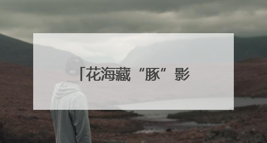 花海藏“豚”影！江豚湾景区创意花田邀你来打卡