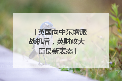 英国向中东增派战机后，英财政大臣最新表态