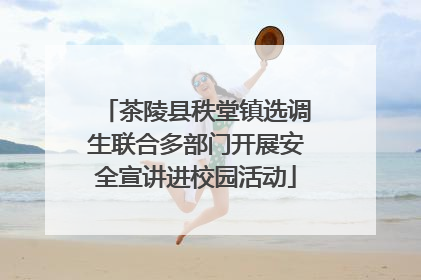 茶陵县秩堂镇选调生联合多部门开展安全宣讲进校园活动