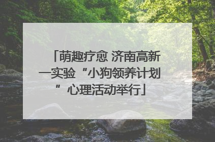 萌趣疗愈 济南高新一实验“小狗领养计划”心理活动举行