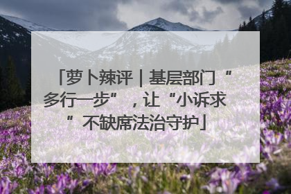 萝卜辣评｜基层部门“多行一步”，让“小诉求”不缺席法治守护