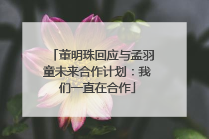 董明珠回应与孟羽童未来合作计划：我们一直在合作