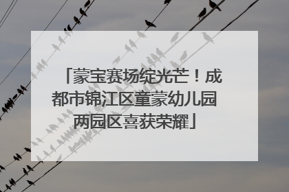 蒙宝赛场绽光芒！成都市锦江区童蒙幼儿园两园区喜获荣耀