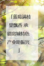 蓝莓满枝果飘香 承德宽城特色产业助振兴