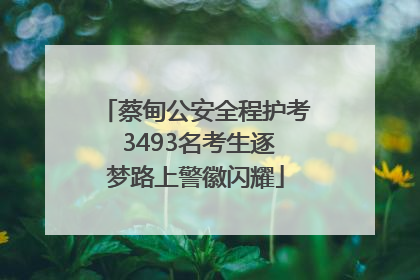 蔡甸公安全程护考 3493名考生逐梦路上警徽闪耀