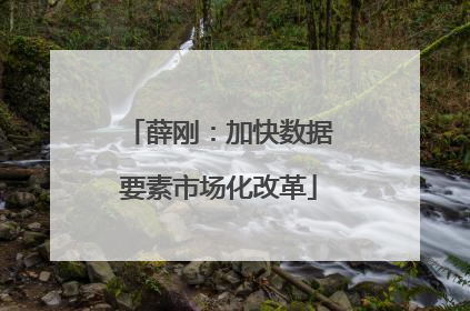 薛刚：加快数据要素市场化改革
