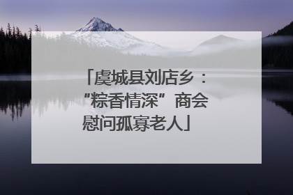 虞城县刘店乡：“粽香情深”商会慰问孤寡老人