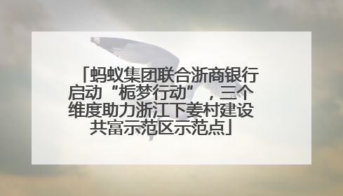 蚂蚁集团联合浙商银行启动“栀梦行动”，三个维度助力浙江下姜村建设共富示范区示范点