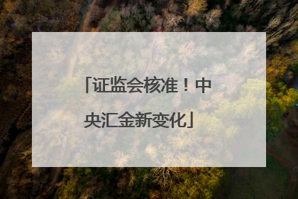 证监会核准！中央汇金新变化