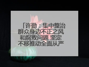 许勤：集中整治群众身边不正之风和腐败问题 坚定不移推动全面从严治党向基层延伸