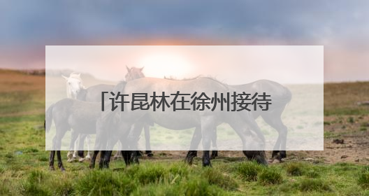许昆林在徐州接待信访群众并调研