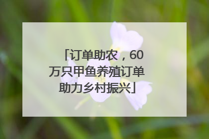 订单助农，60万只甲鱼养殖订单助力乡村振兴