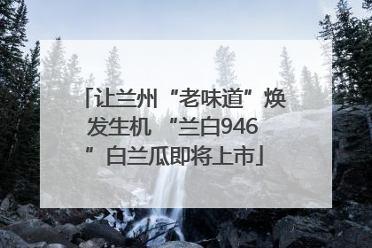 让兰州“老味道”焕发生机 “兰白946”白兰瓜即将上市