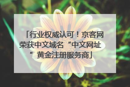 行业权威认可！京客网荣获中文域名“中文网址”黄金注册服务商