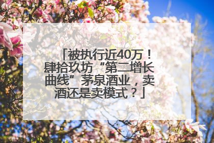 被执行近40万！肆拾玖坊“第二增长曲线”茅泉酒业，卖酒还是卖模式？