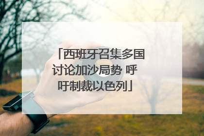 西班牙召集多国讨论加沙局势 呼吁制裁以色列