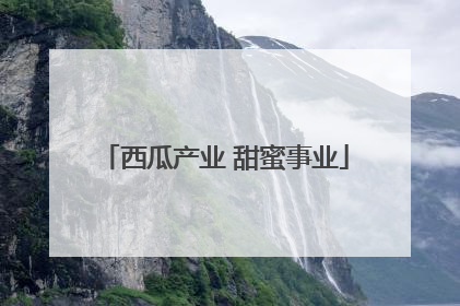 西瓜产业 甜蜜事业