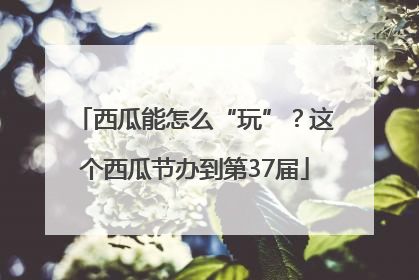 西瓜能怎么“玩”？这个西瓜节办到第37届