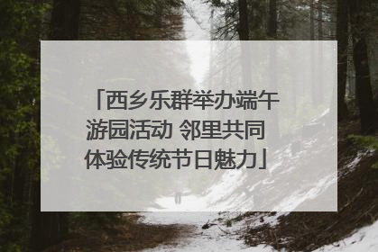 西乡乐群举办端午游园活动 邻里共同体验传统节日魅力