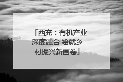 西充：有机产业深度融合 绘就乡村振兴新画卷