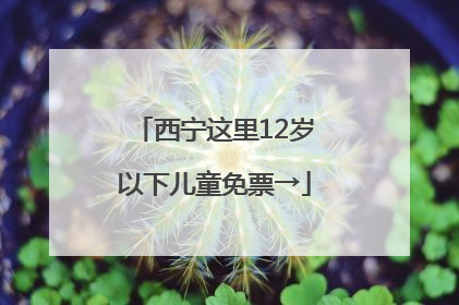 西宁这里12岁以下儿童免票→