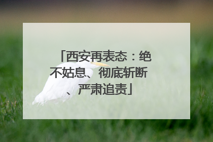 西安再表态：绝不姑息、彻底斩断、严肃追责