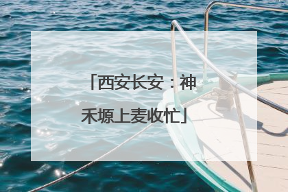 西安长安：神禾塬上麦收忙