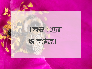 西安：逛商场 享清凉