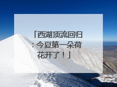 西湖顶流回归：今夏第一朵荷花开了！