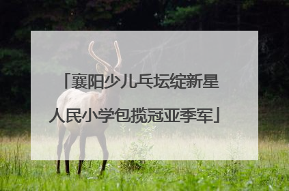 襄阳少儿乓坛绽新星 人民小学包揽冠亚季军