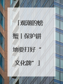 观潮的螃蟹丨保护耕地要打好“文化牌”