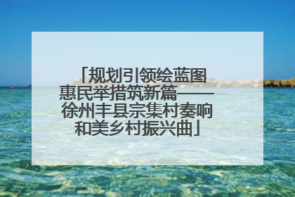 规划引领绘蓝图 惠民举措筑新篇——徐州丰县宗集村奏响和美乡村振兴曲